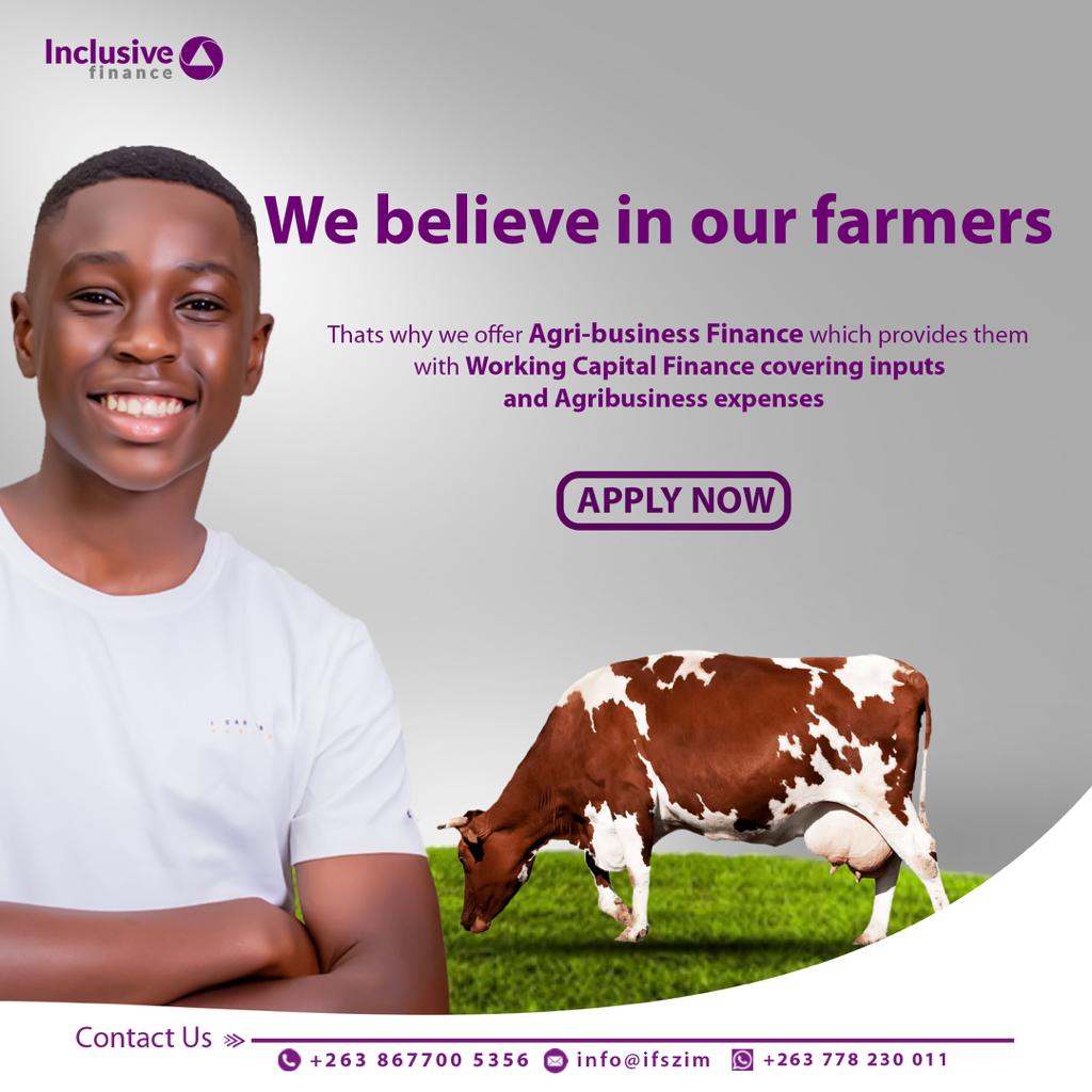 Inclusive Finance Zimbabwe