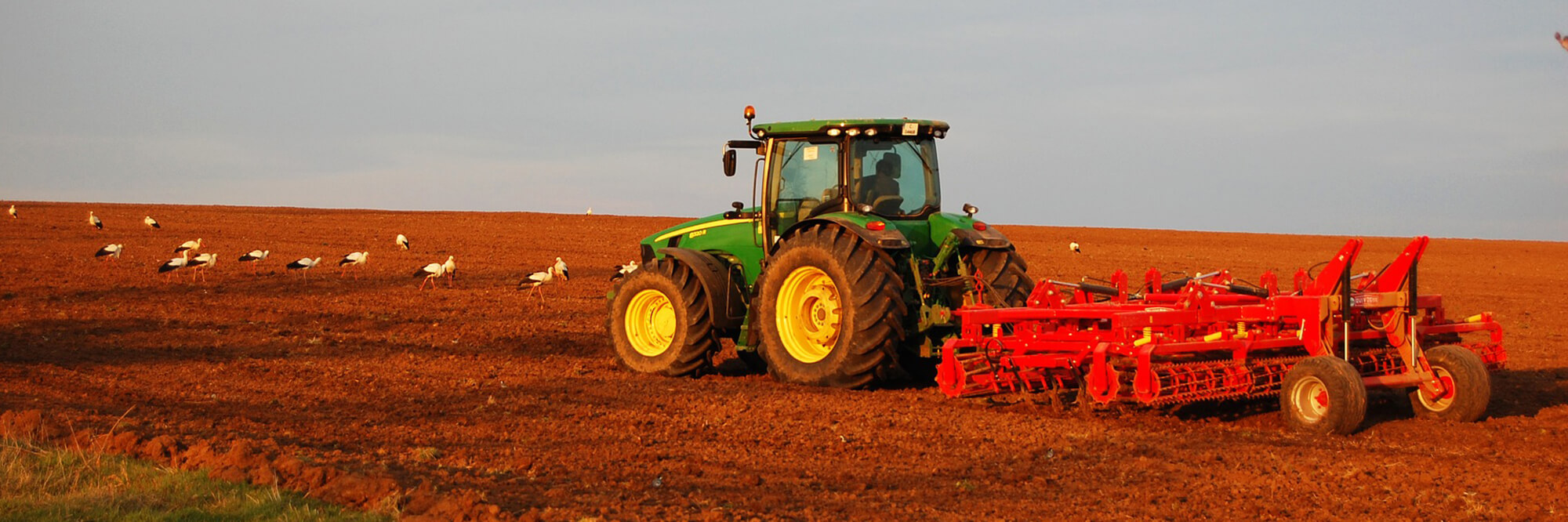 Inclusive Finance Zimbabwe